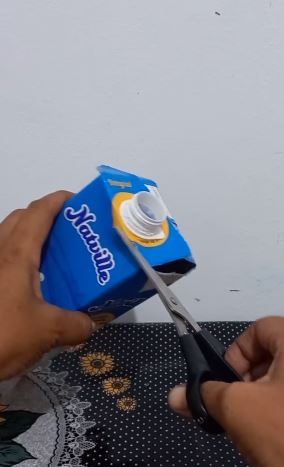 CAJALEG411
