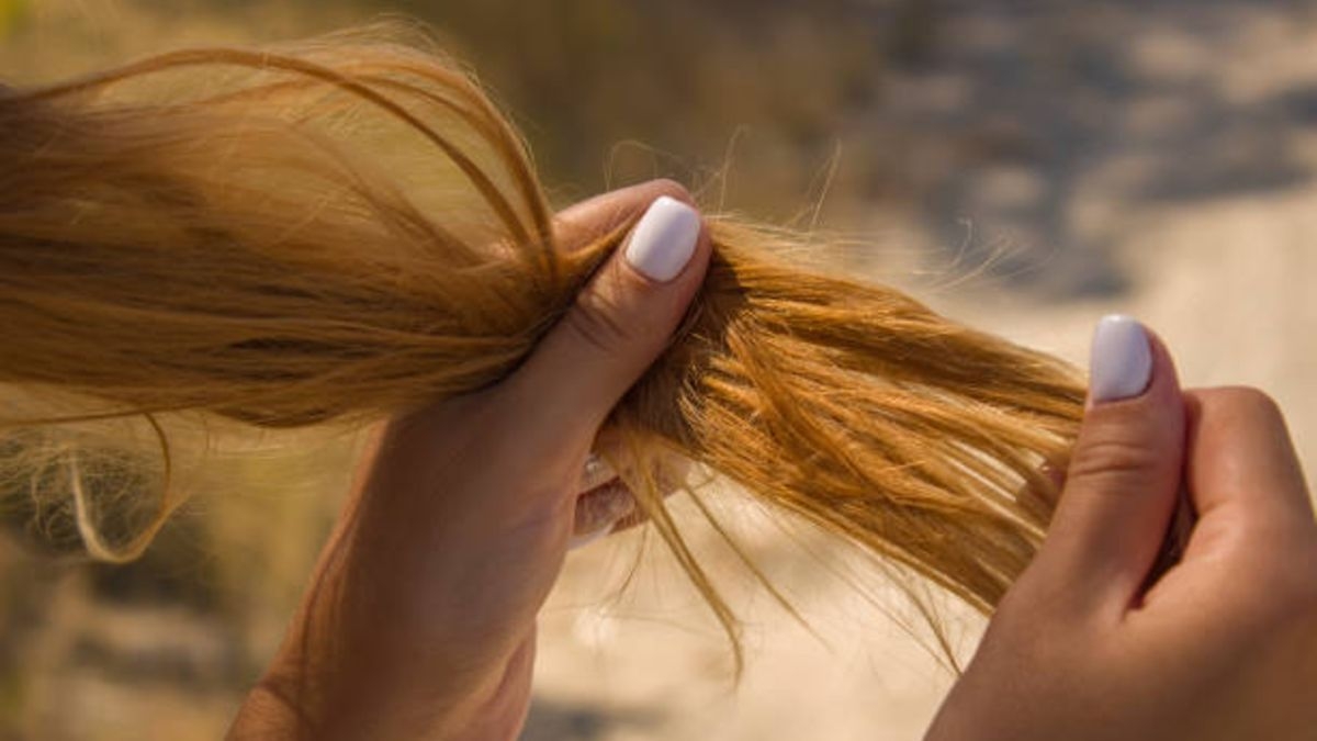 cabello 2