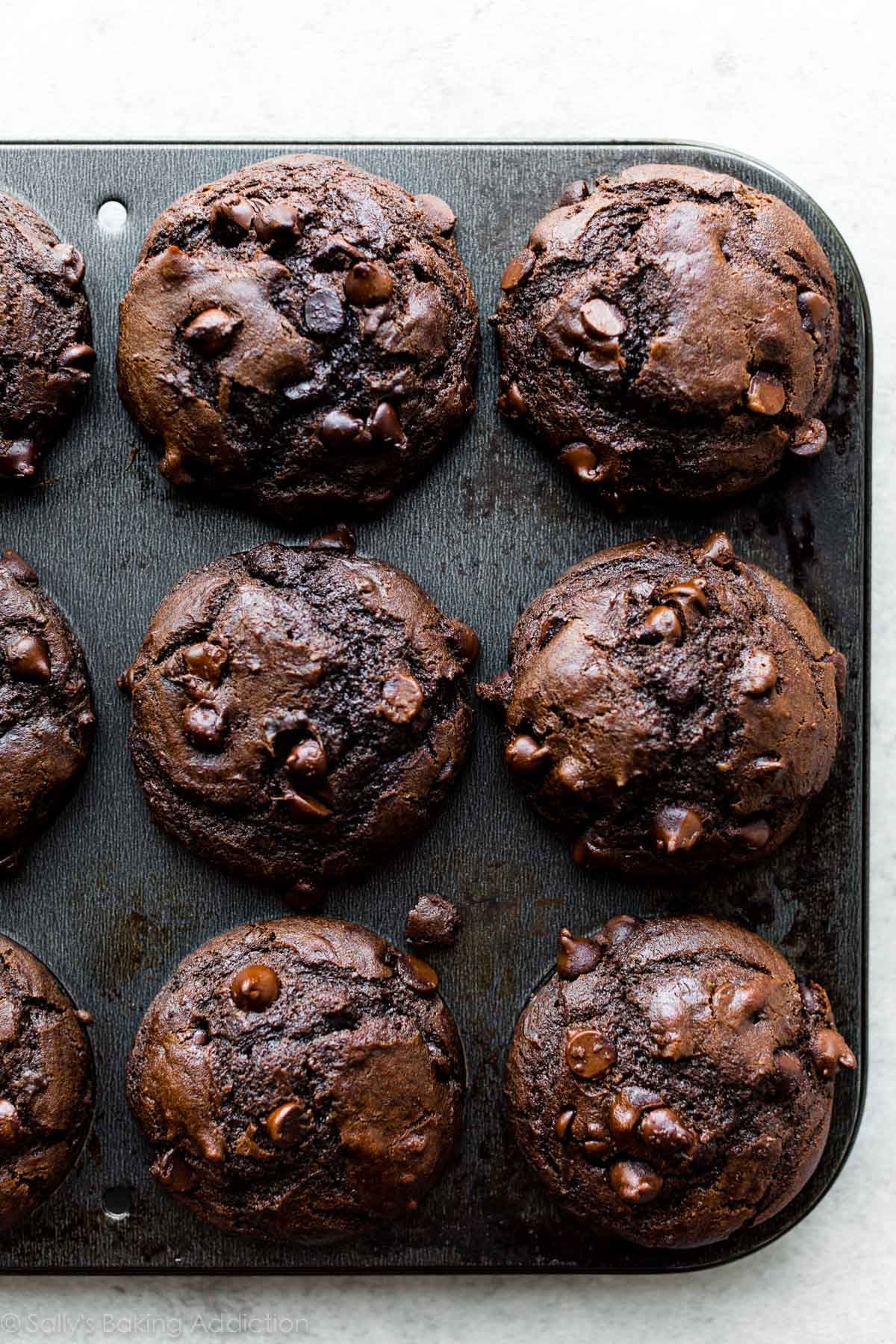 double-chocolate-muffins-with-chocolate-chips
