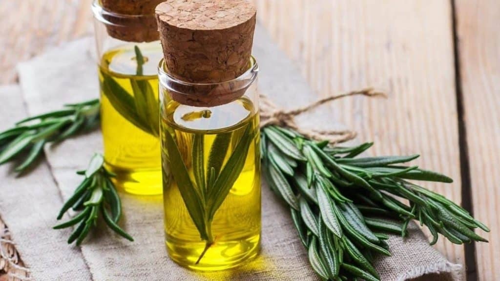 beneficios-del-aceite-de-romero-aceite-y-romero-1024x576