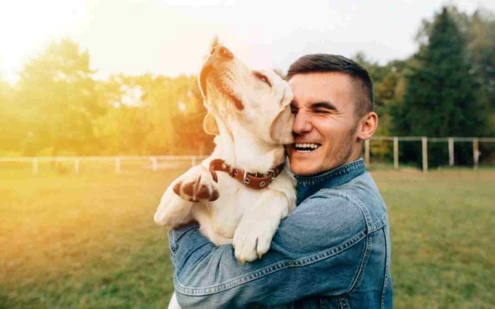 perros 3