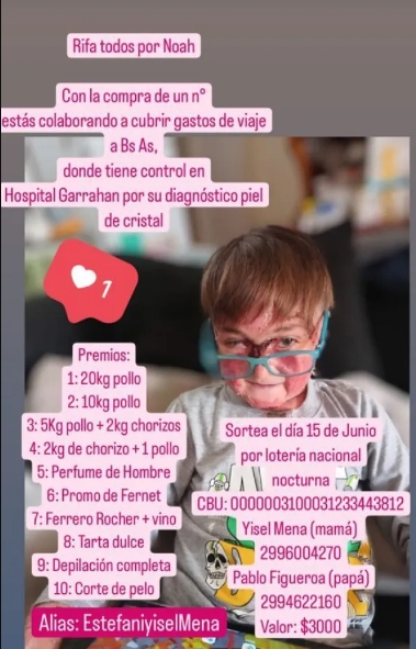 noah (1)