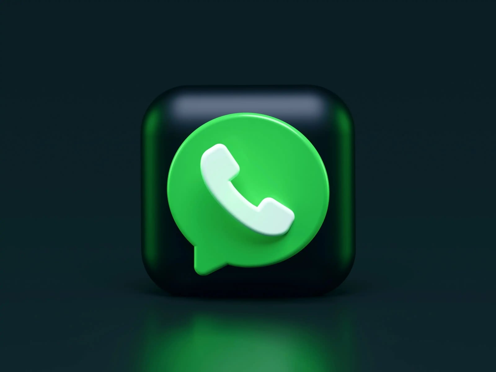 433497576_25074688282146315_8391634488067394168_n