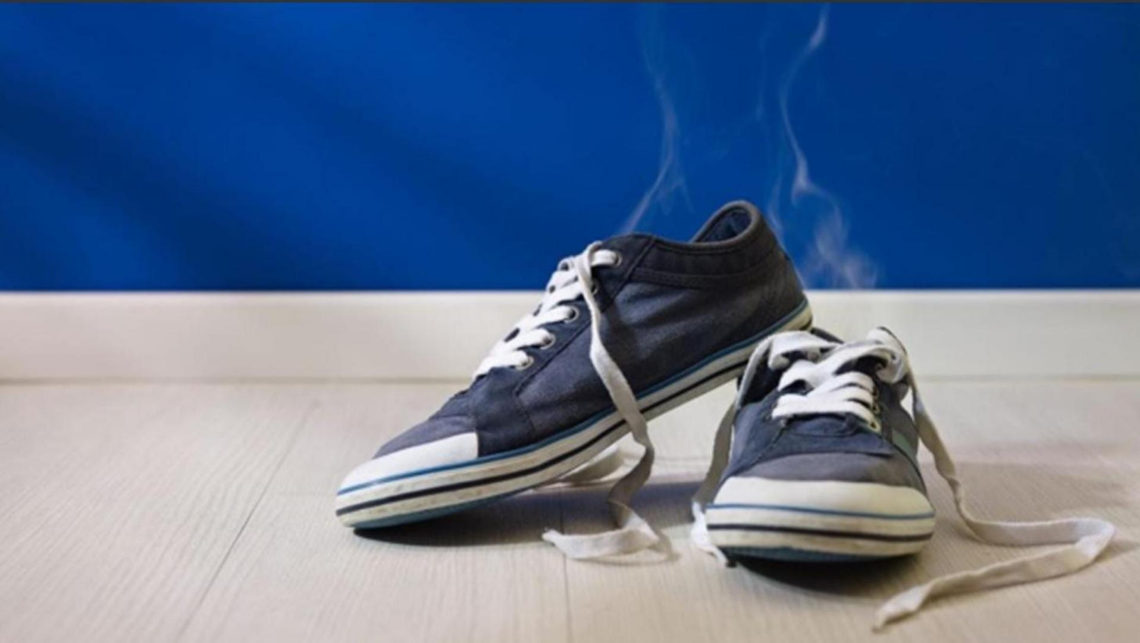 zapatillas