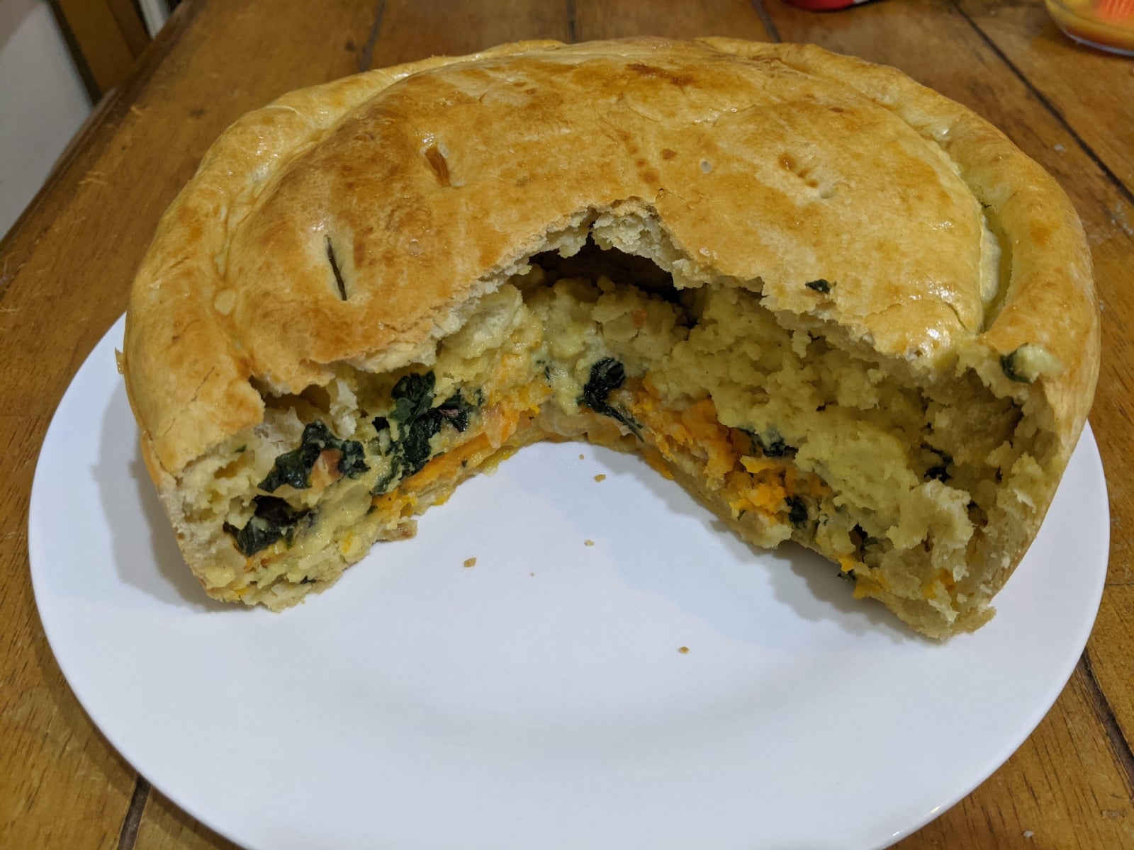 week-13-patagonian-tarta-tricolor-v0-yvwr58w0fxsa1