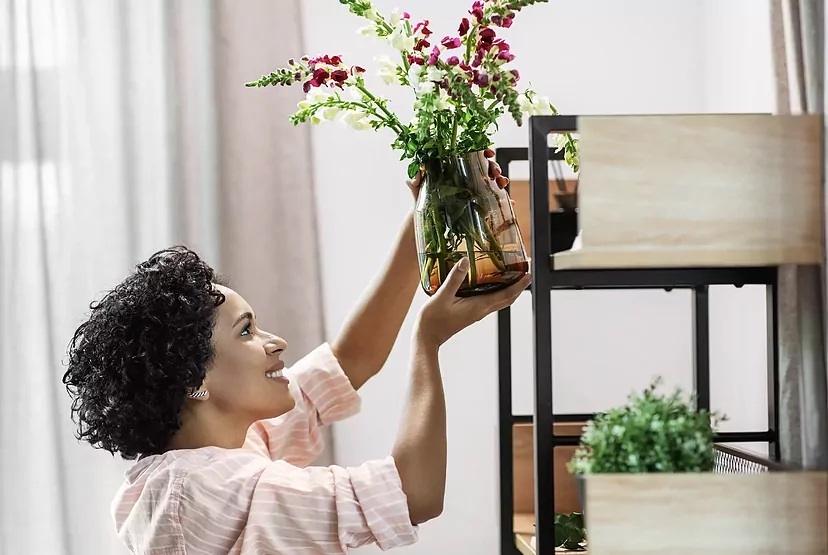 Plantas 1