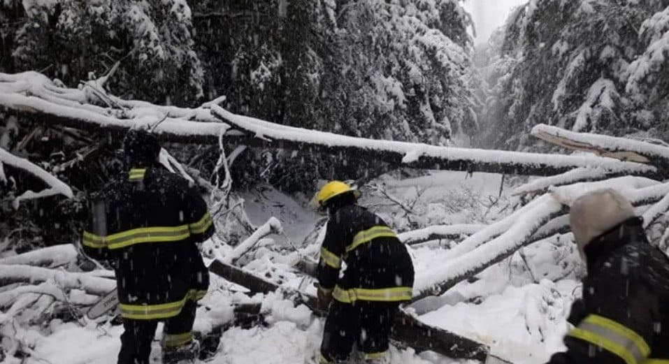 bomberos vla