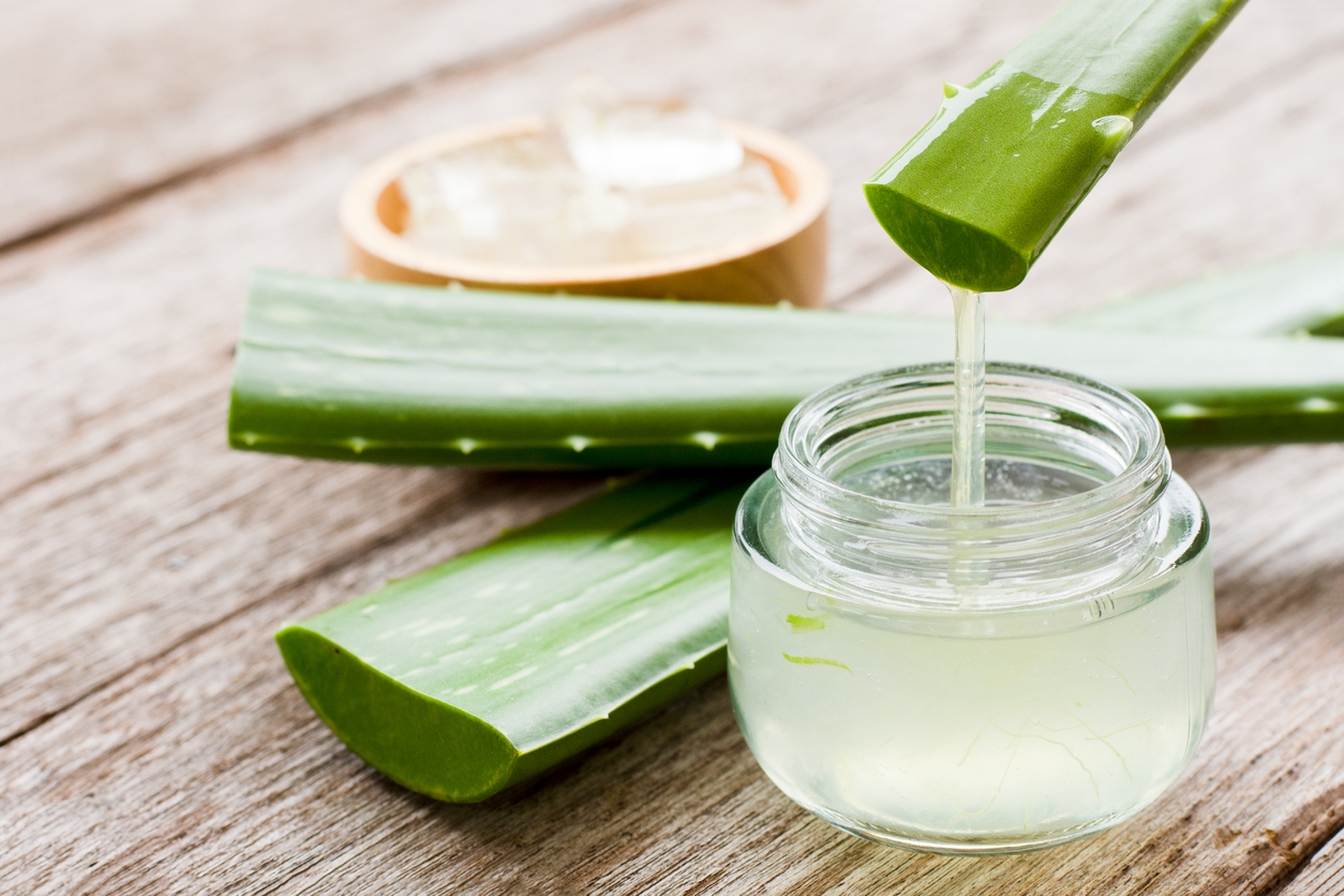 aloe-vera-propiedades-y-cuidados_8d58a79f