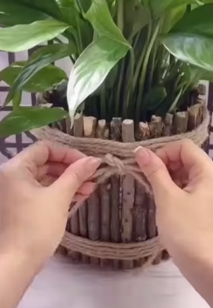 palitos3