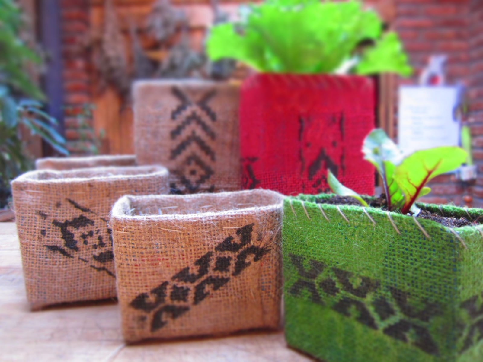 caja de carton