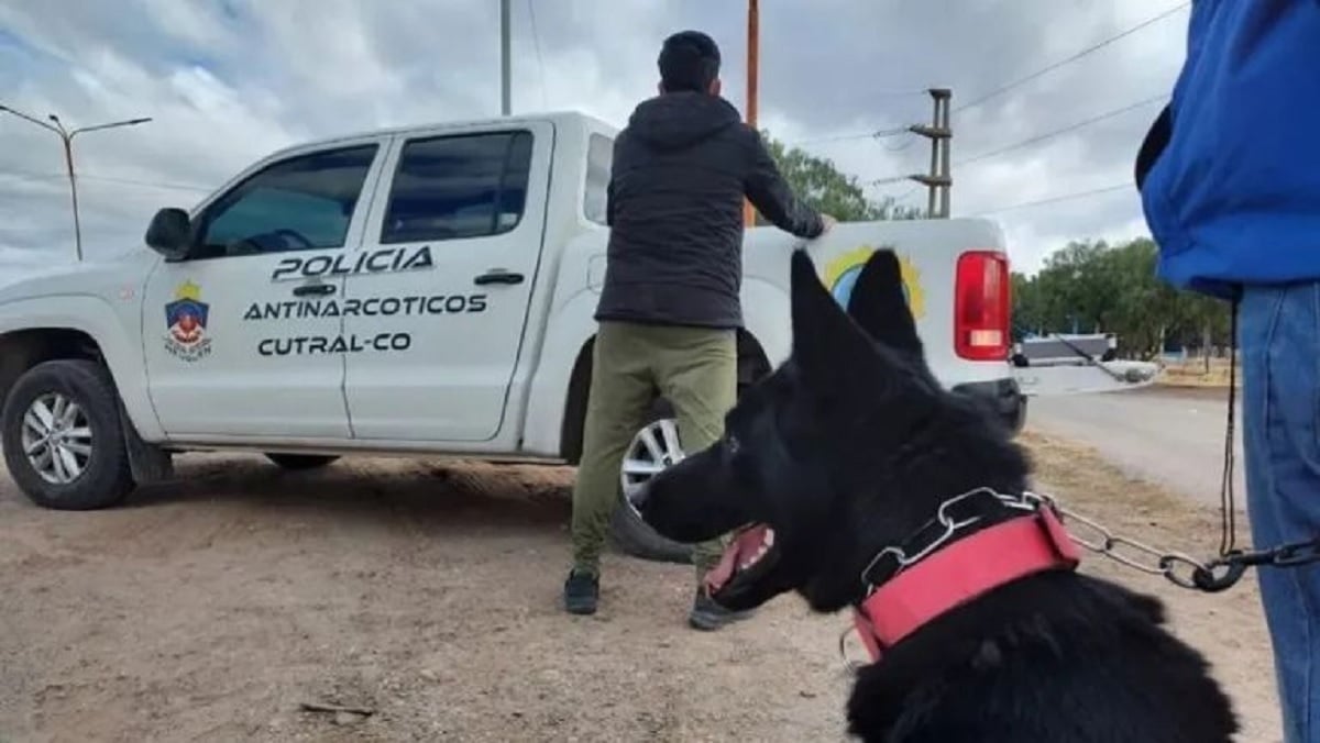 division antinarcoticos con perro