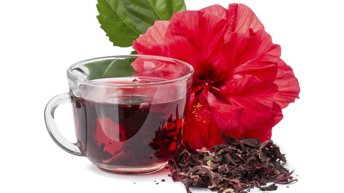 planta medicinal 2