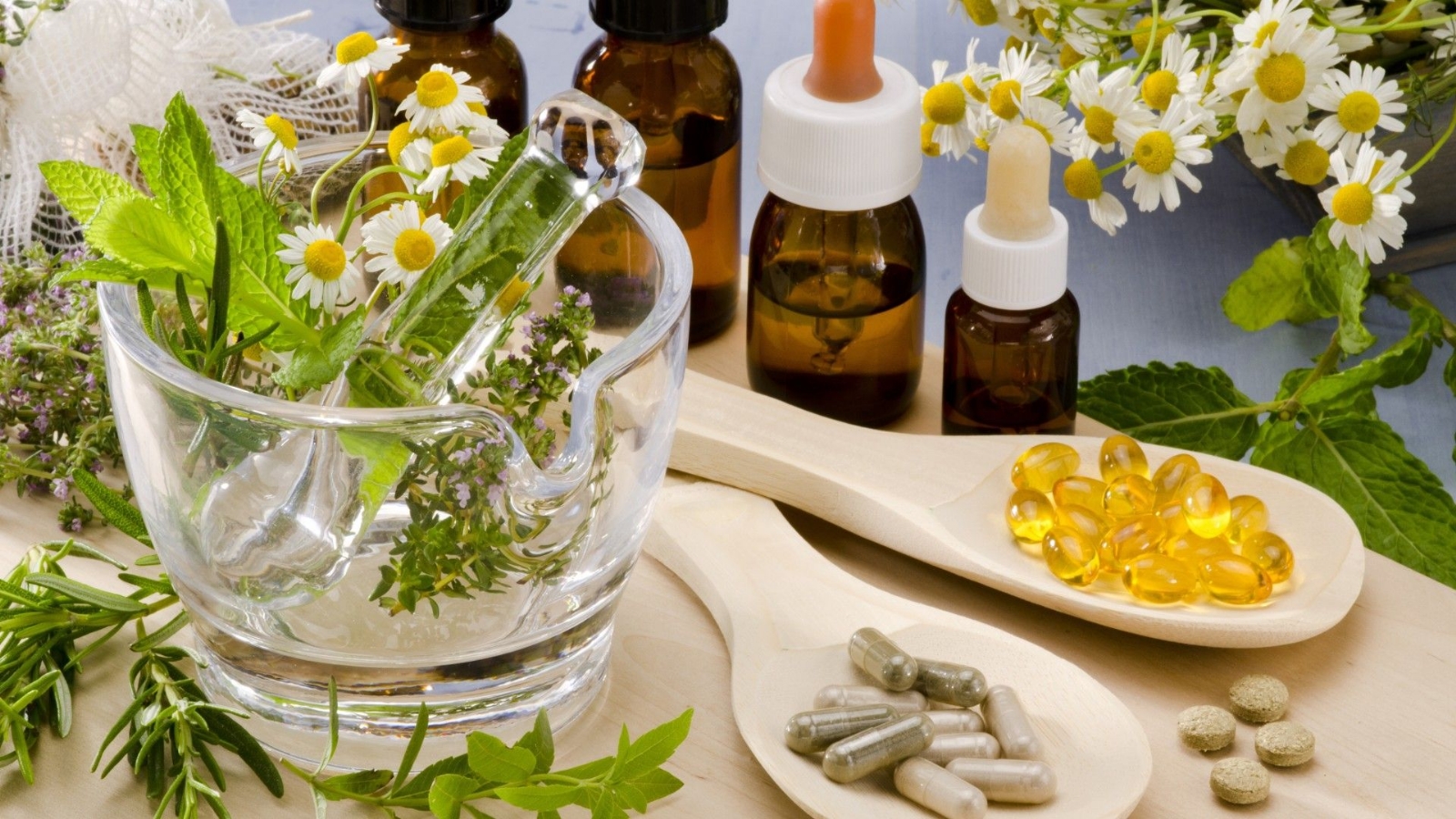 planta medicinal