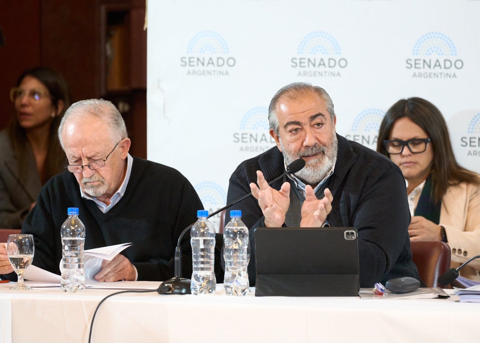 daer-en-el-senado-ley-de-bases
