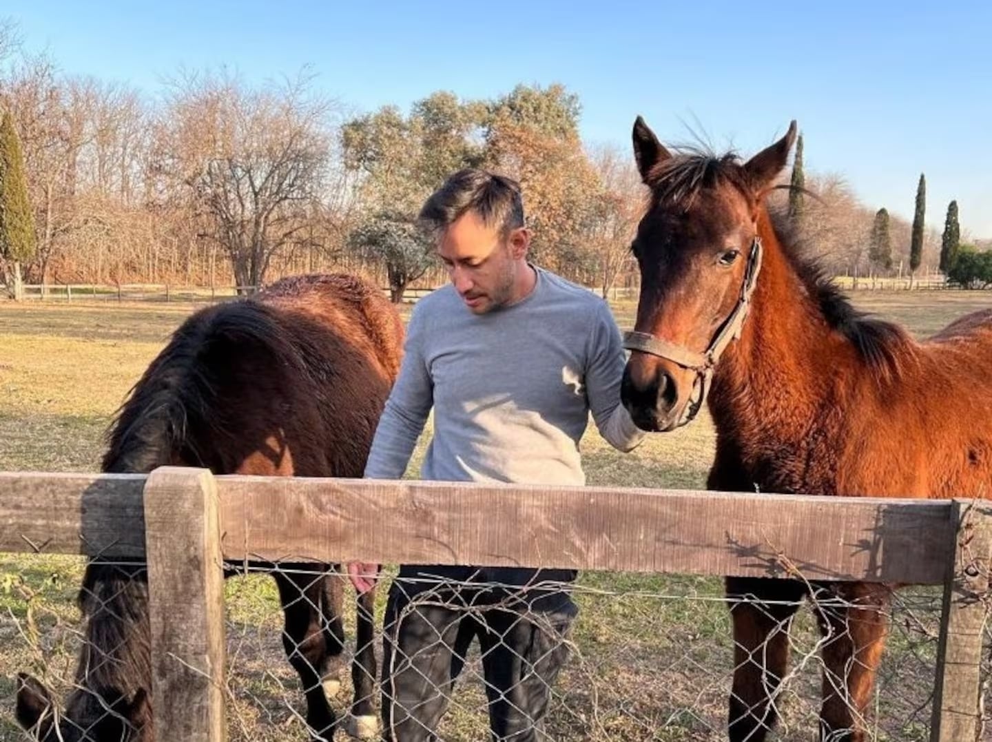 luciano-pereyra-con-sus-caballos-TYI4QS67YJC2FKHZFIBNZSCANY