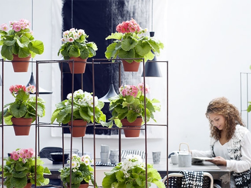 Planta 1