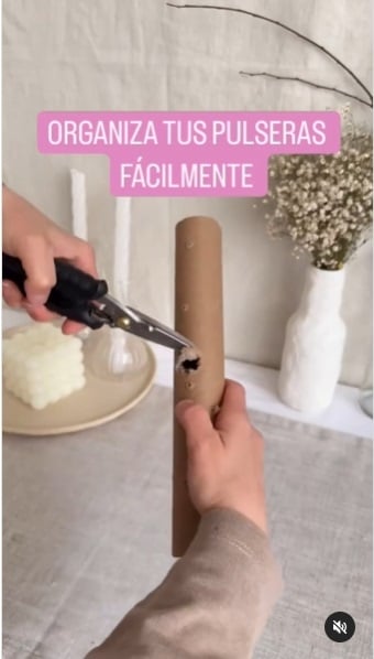 Organizador 2