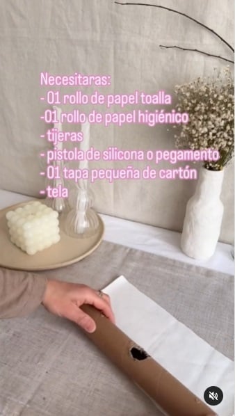 Organizador 3