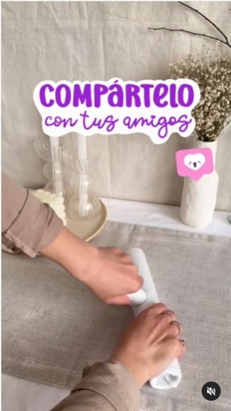 Organizador 4