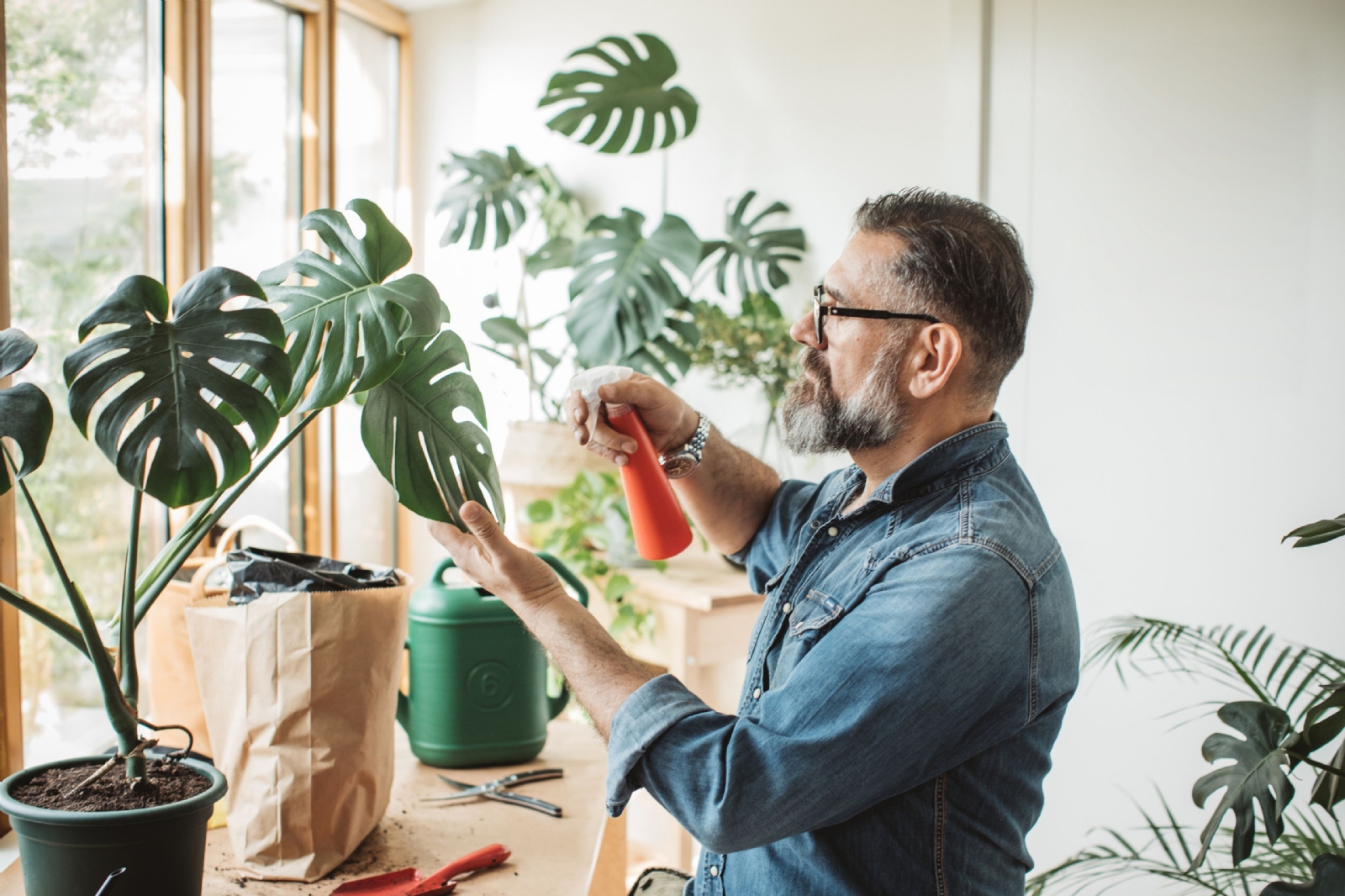 plantas-interior-2253493