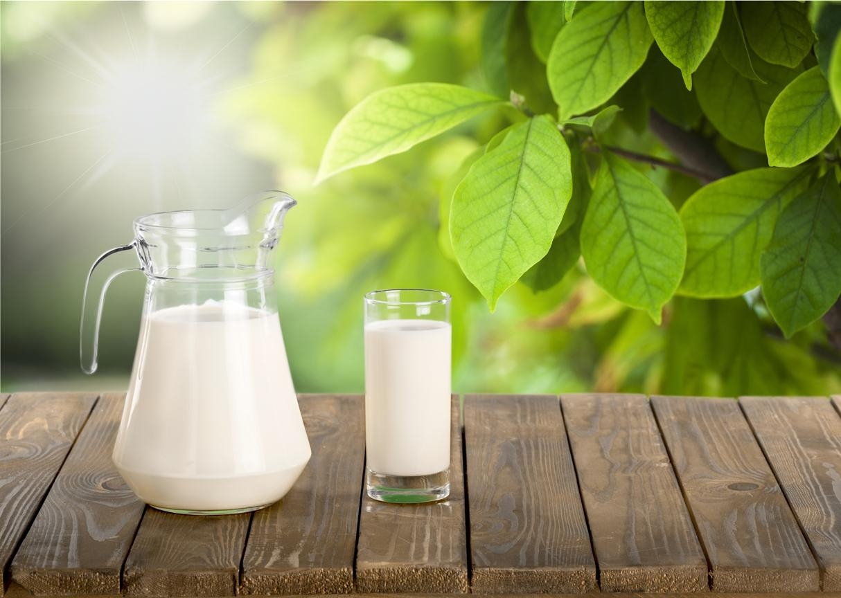 leche_para_las_plantas_beneficios_y_como_usarla_3467_orig
