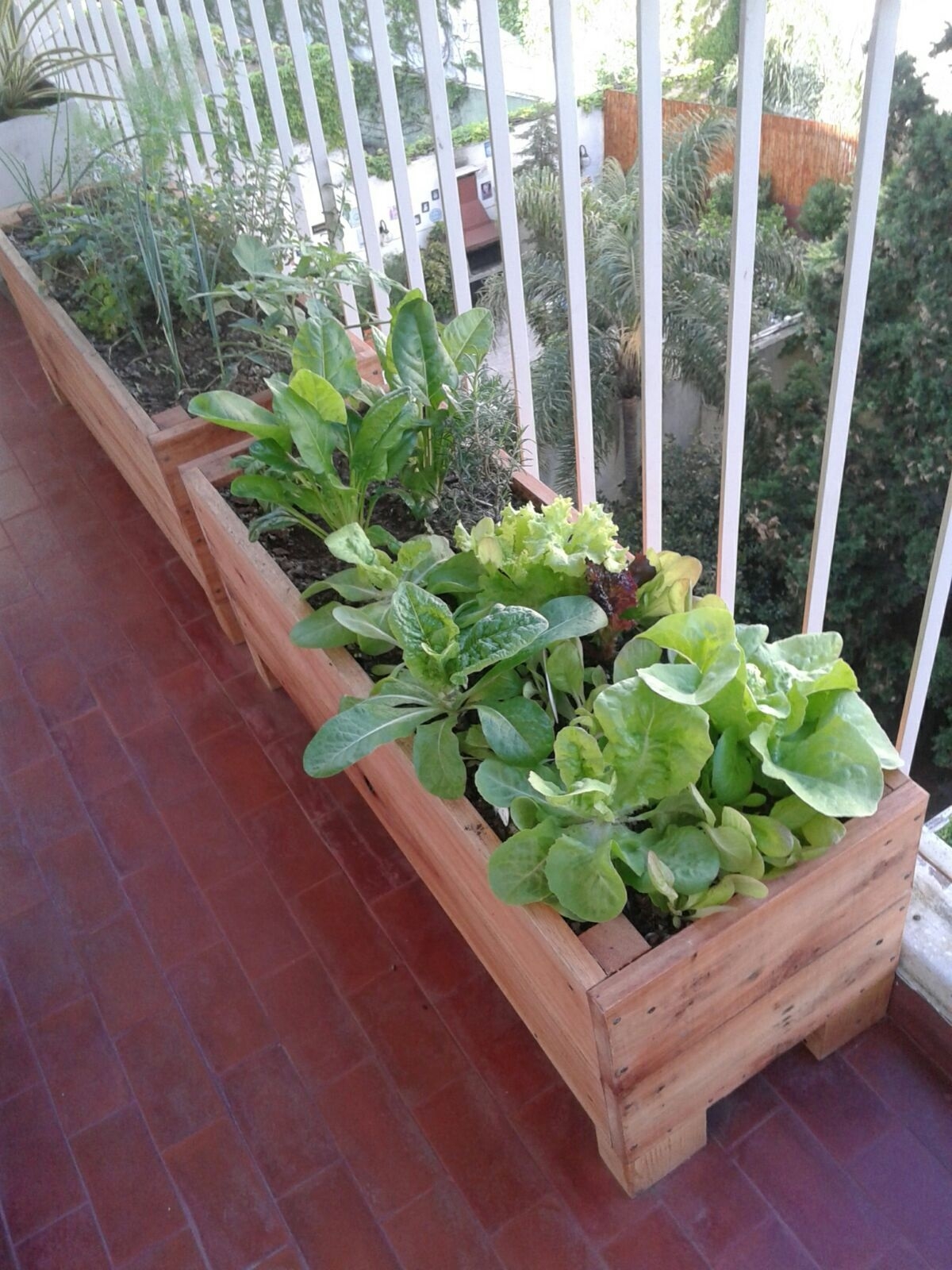 Plantas 3