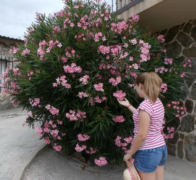 Planta 3