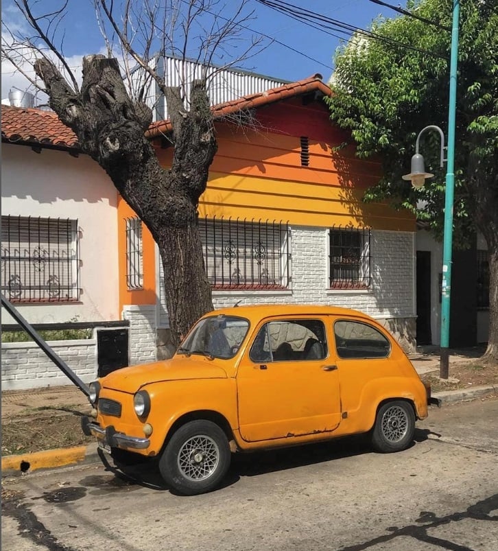 León Giego 4