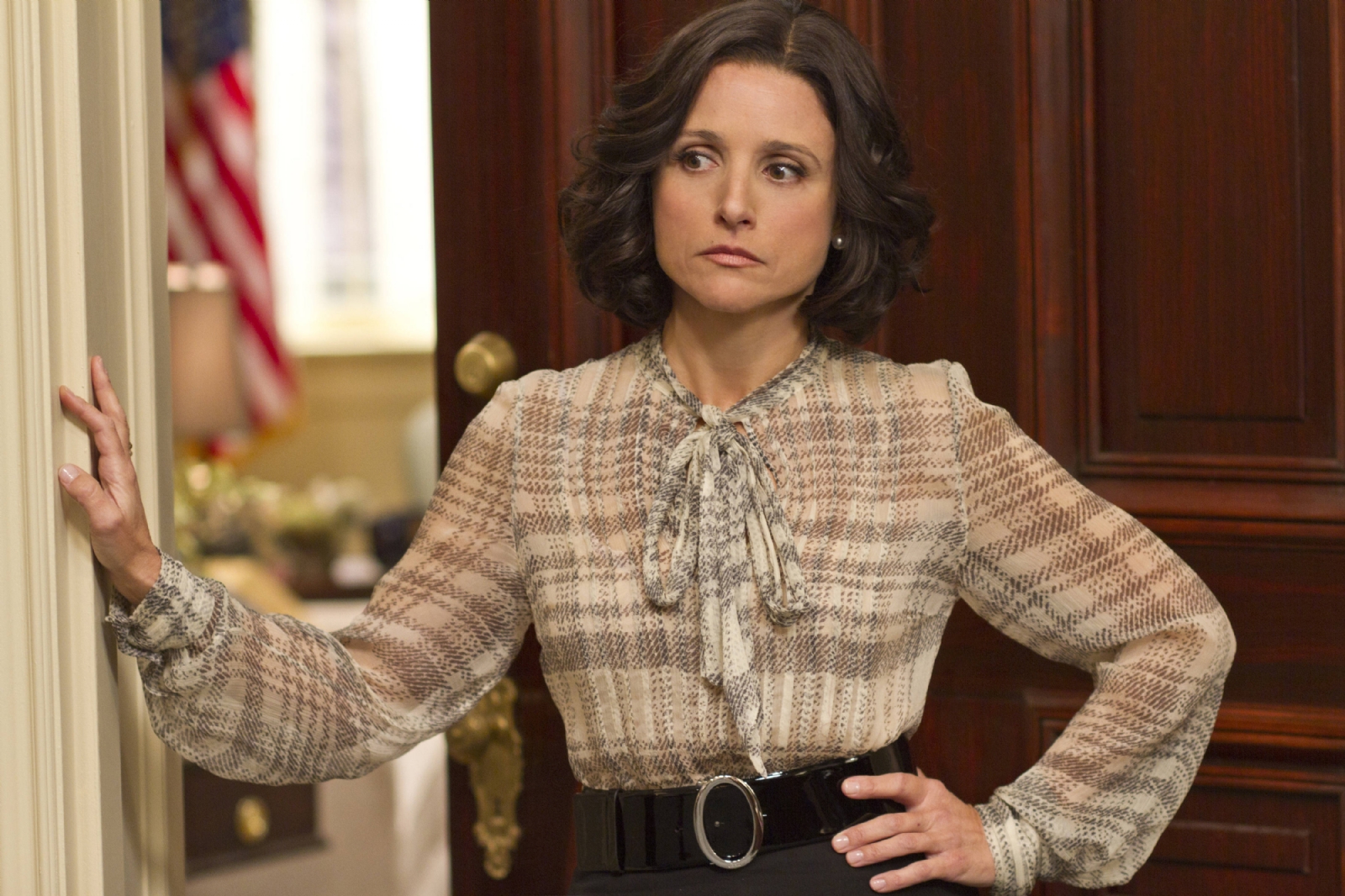 veep-tv-show-image-julia-louis-dreyfus