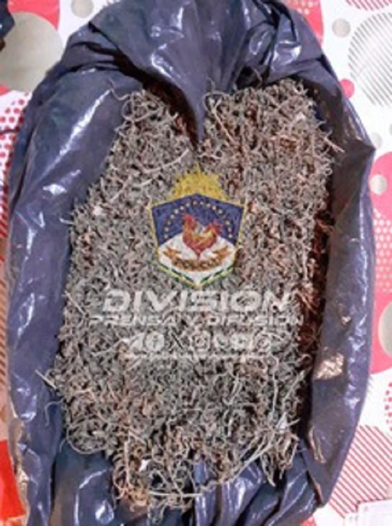 marihuana comisaria trcera