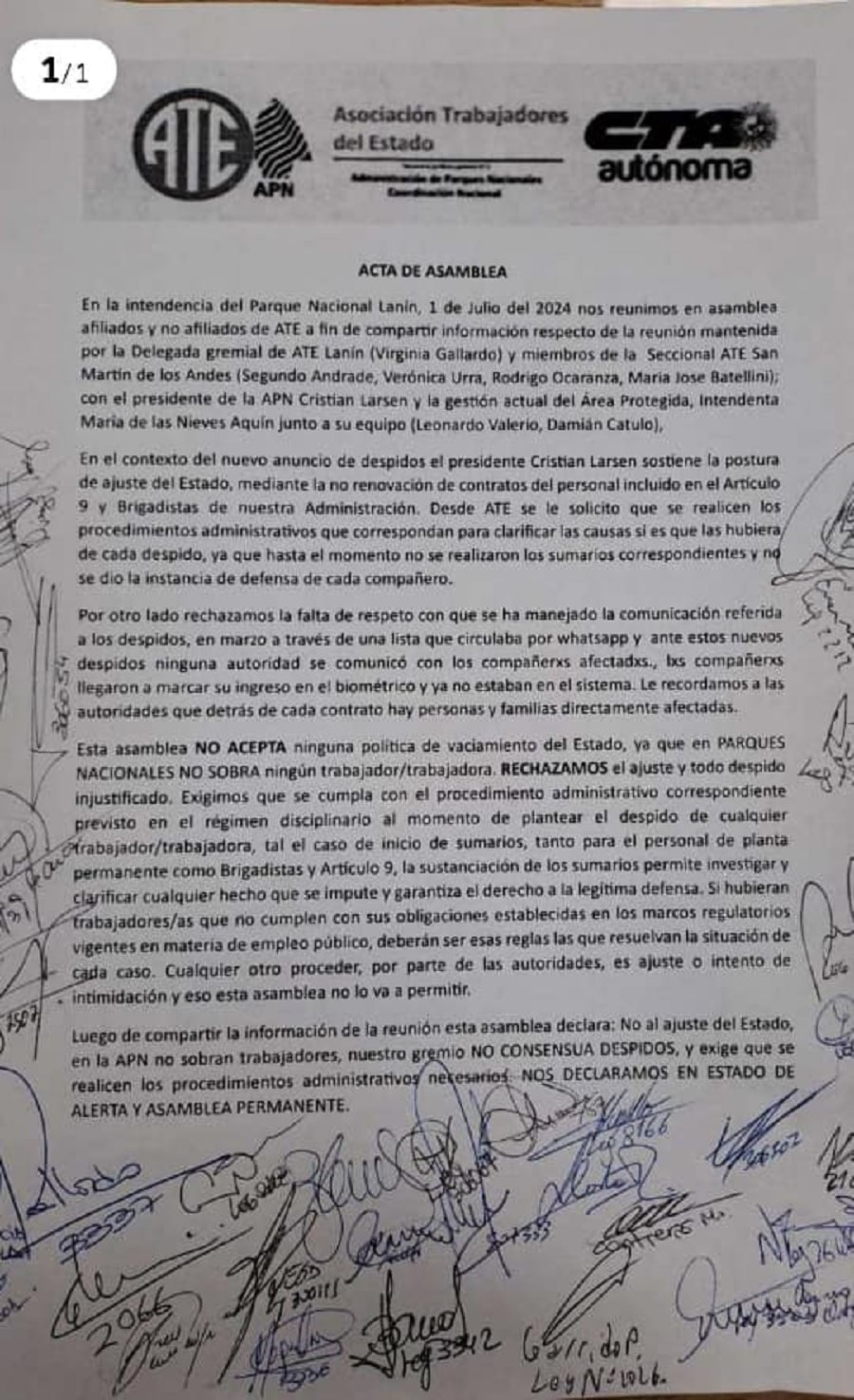 acta asamblea ate pn lanin