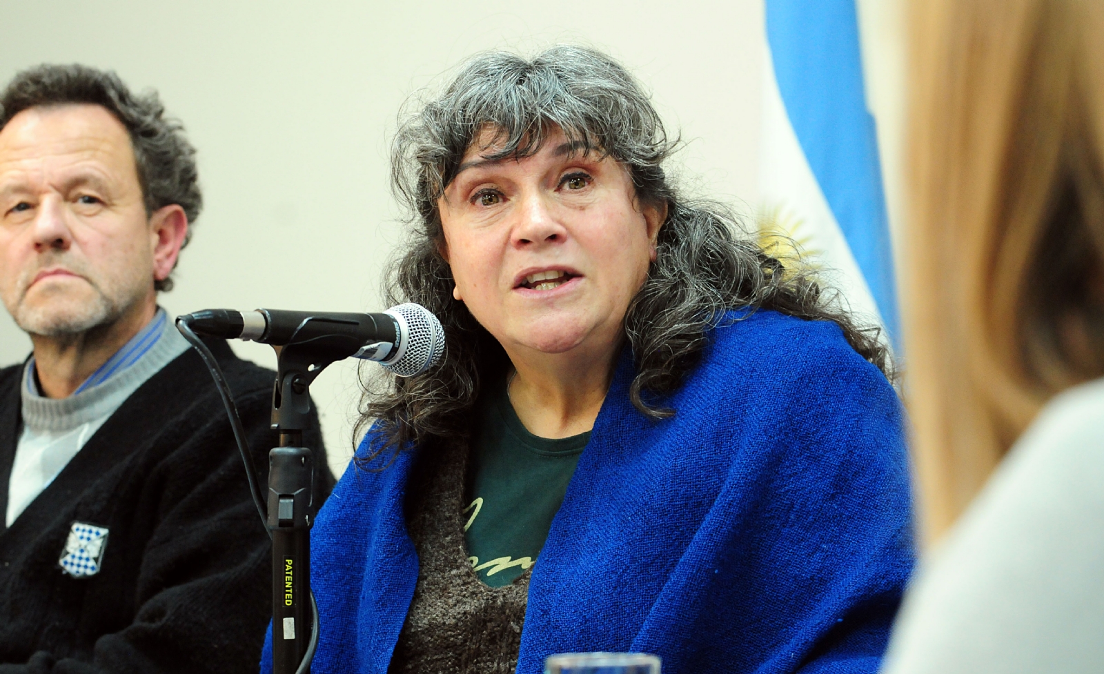 legislatura ambientalistas