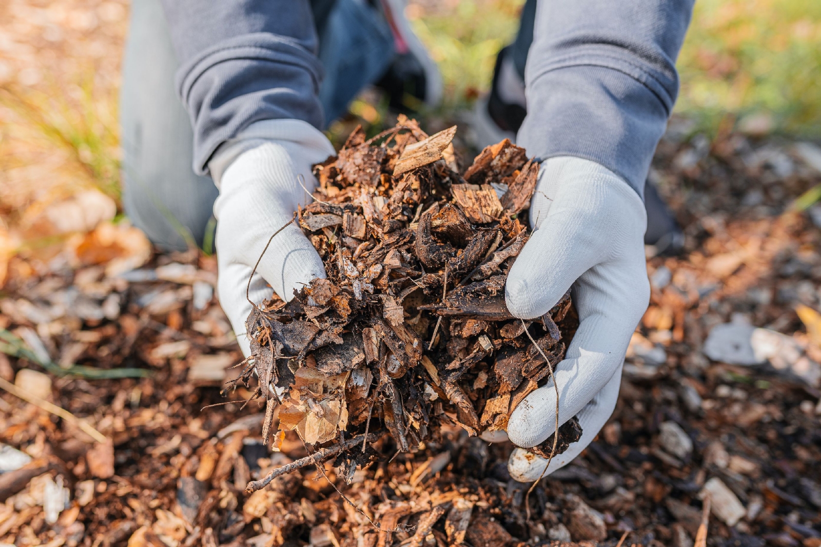 leaf-mulch-1664448145
