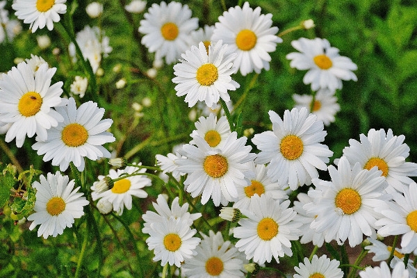 30a65350830f2f16ee01f20de8f5bb9bF43A70_xl