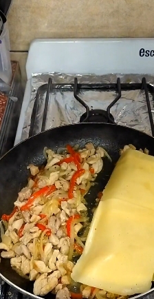 Sánguches1