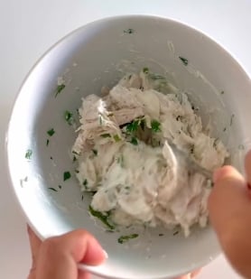 Saquitos de zucchini2