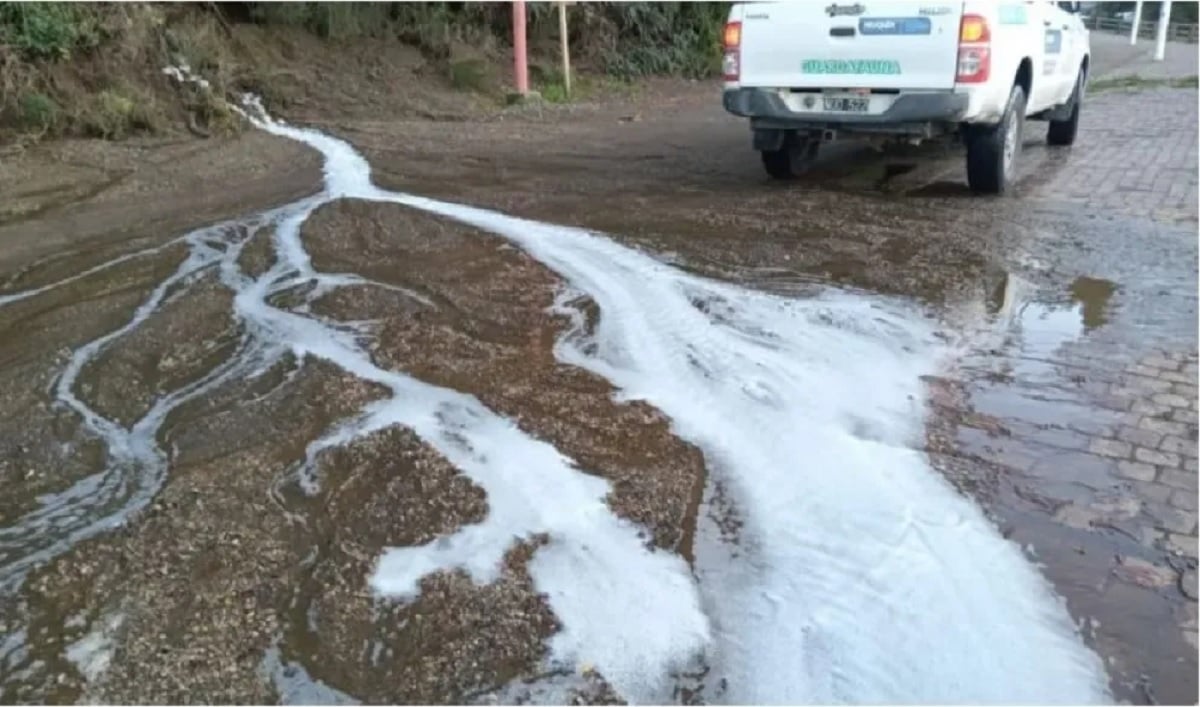 liquidos al correntoso 33