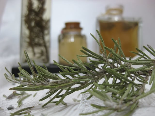 cabello 1