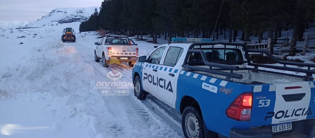 rescate en las ovejas 4