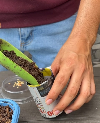 plantas4