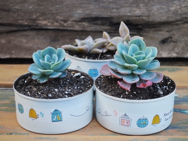 Latas de atún 1