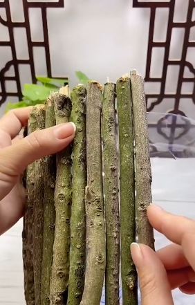 bidón de agua2