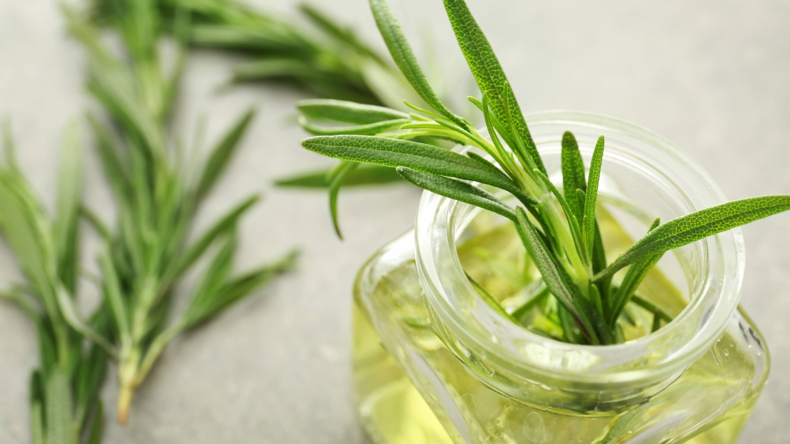 aceite-de-romero-para-el-cabello-1
