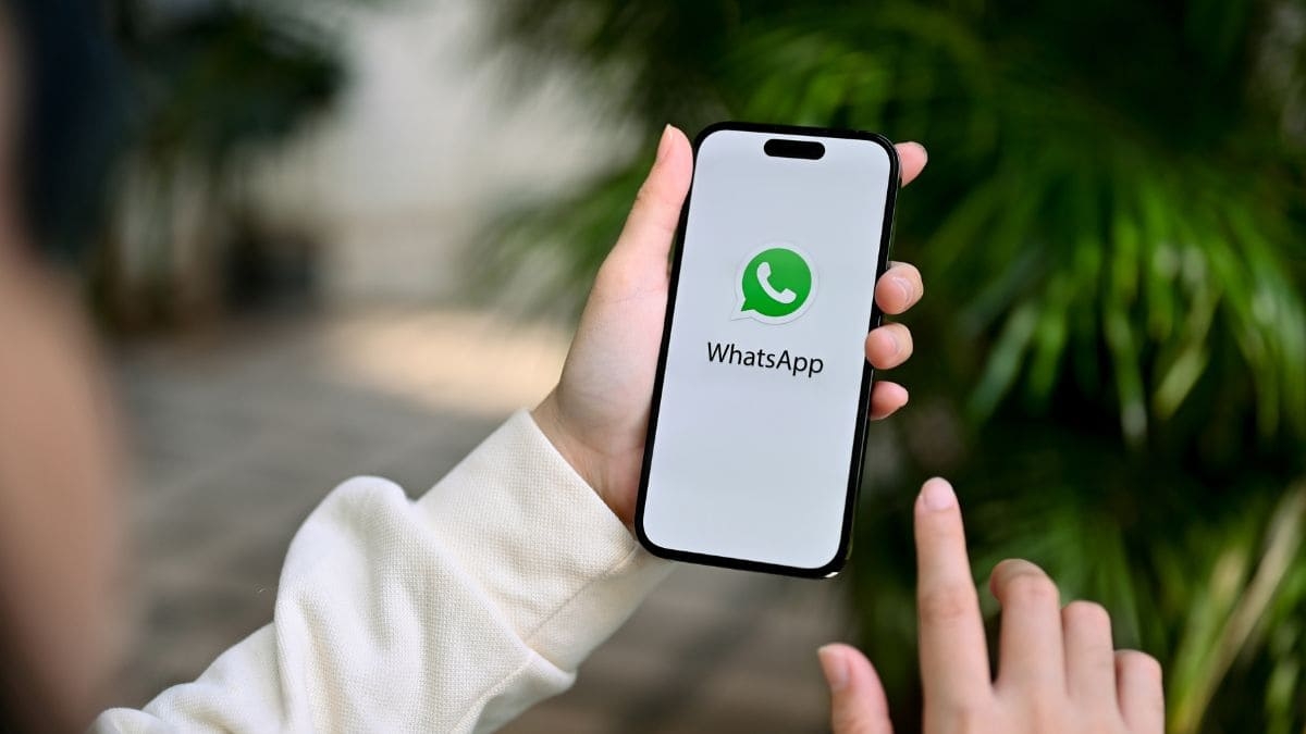 WhatsApp. Fuente (Instagram)