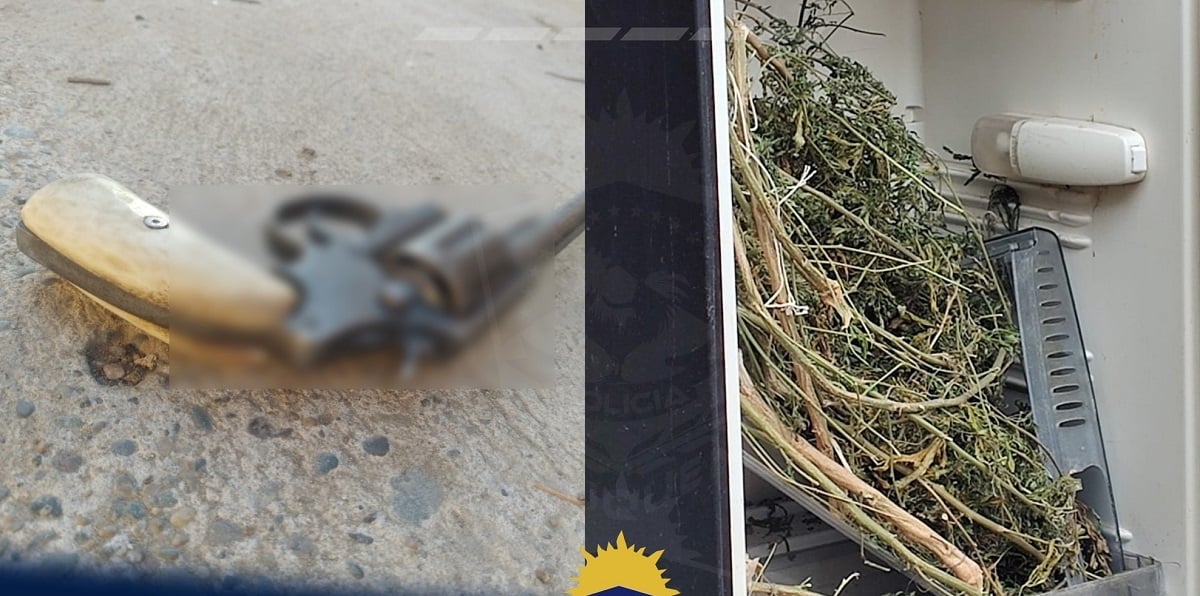 marihuana seca y un arma