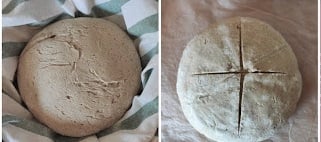 Masa madre 5