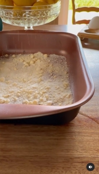Torta haragana de manzana 4