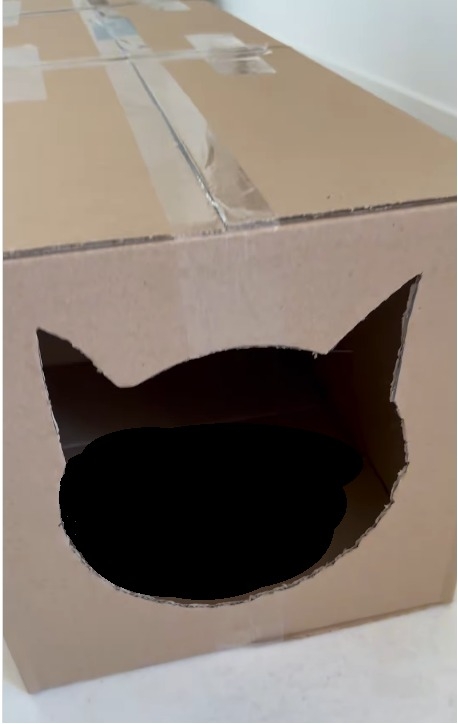 gato 2
