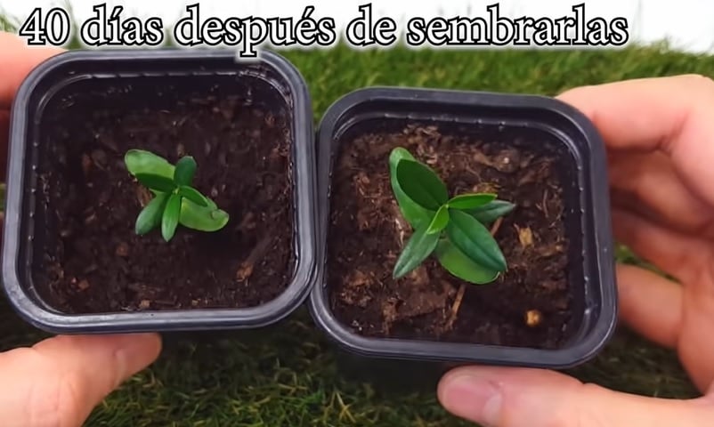 asdsfgthujio