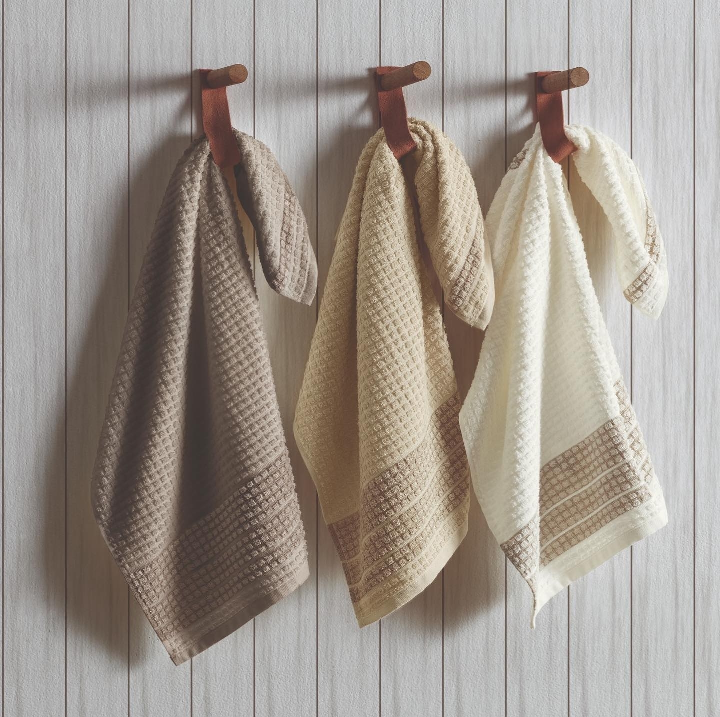 Repasadores